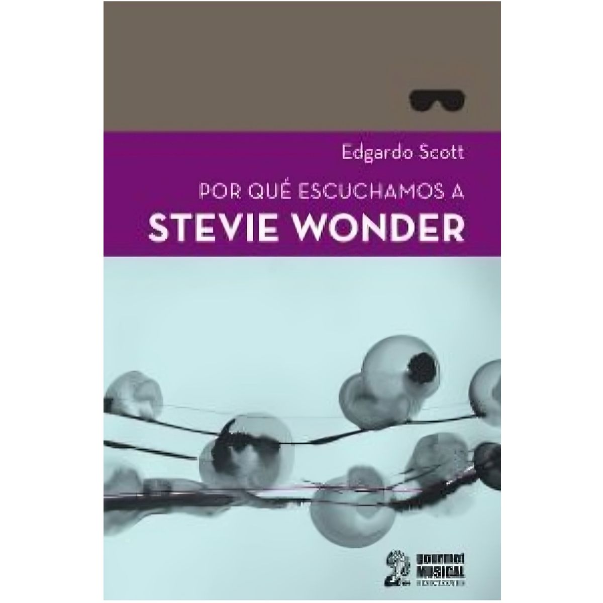TOP10BOOKS - LIBRO Por Que Escuchamos A Stevie Wonder - Por Que Escuchamos A Stevie Wonder