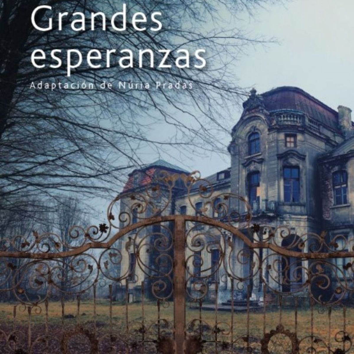 TOP10BOOKS - LIBRO Grandes Esperanzas - Grandes Esperanzas