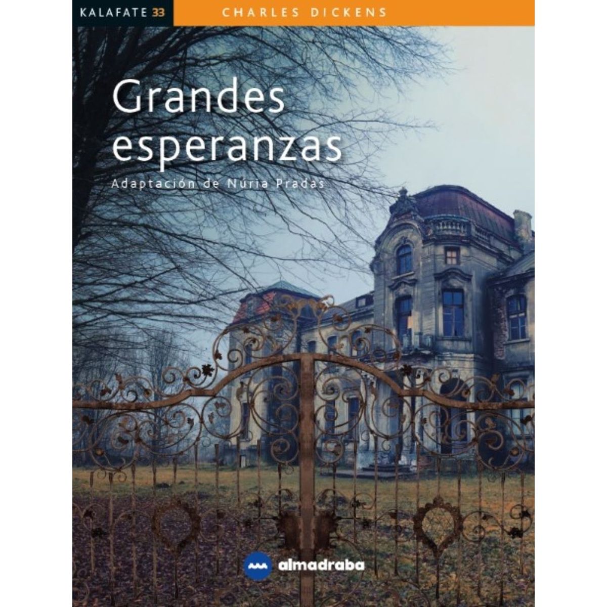TOP10BOOKS - LIBRO Grandes Esperanzas - Grandes Esperanzas