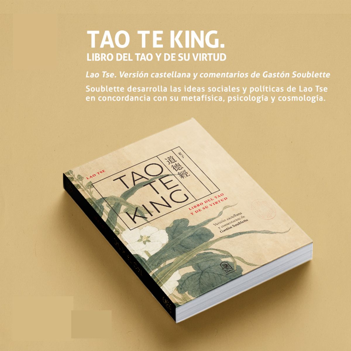 TOP10BOOKS - LIBRO Libro Tao Te King - Libro Tao Te King