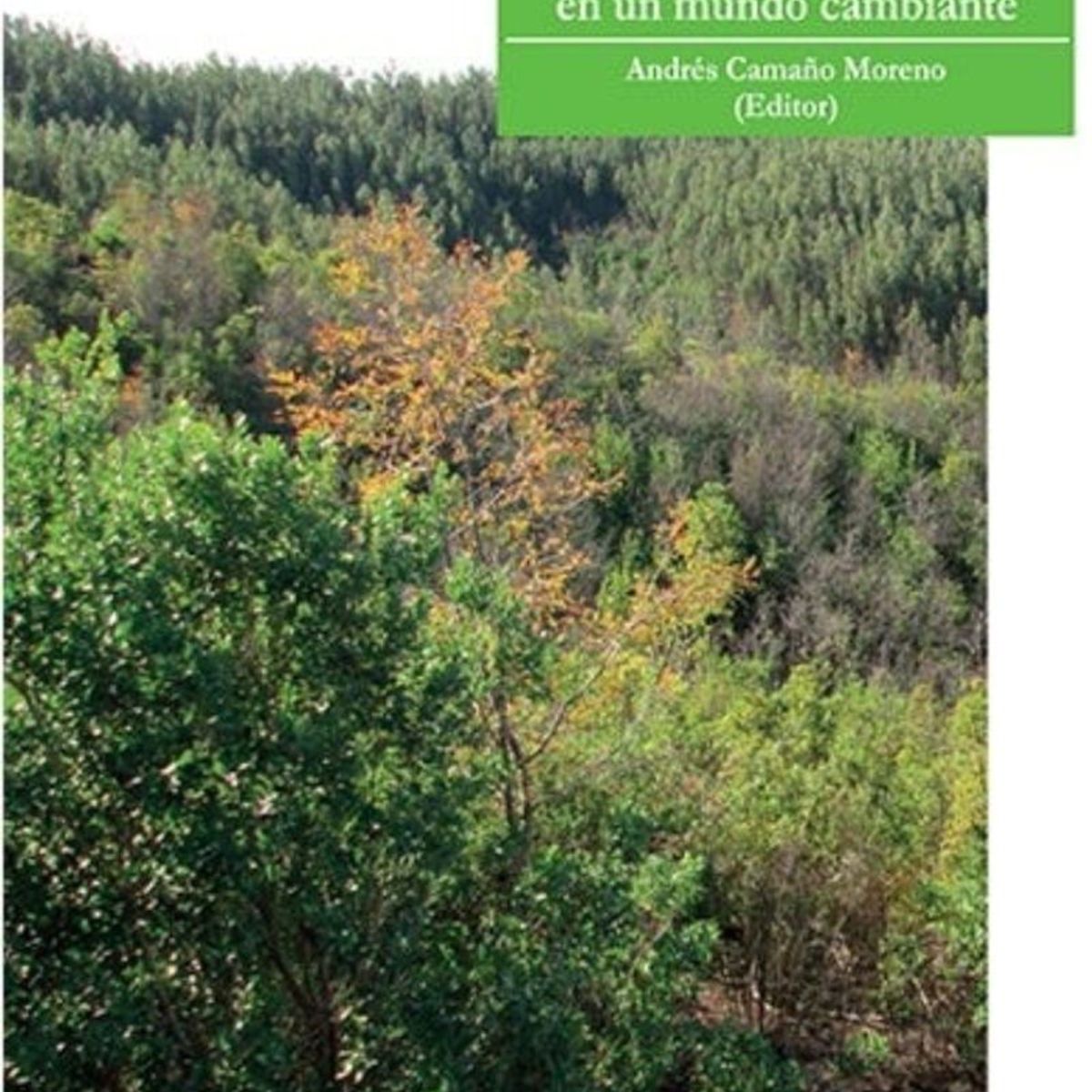 TOP10BOOKS - LIBRO Restauración De Bosques - Restauración De Bosques