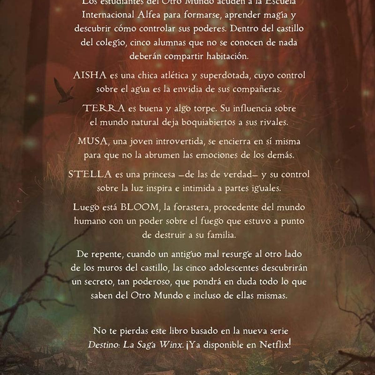 TOP10BOOKS - LIBRO Destino. La Saga Winx. El Camino De Las Hadas