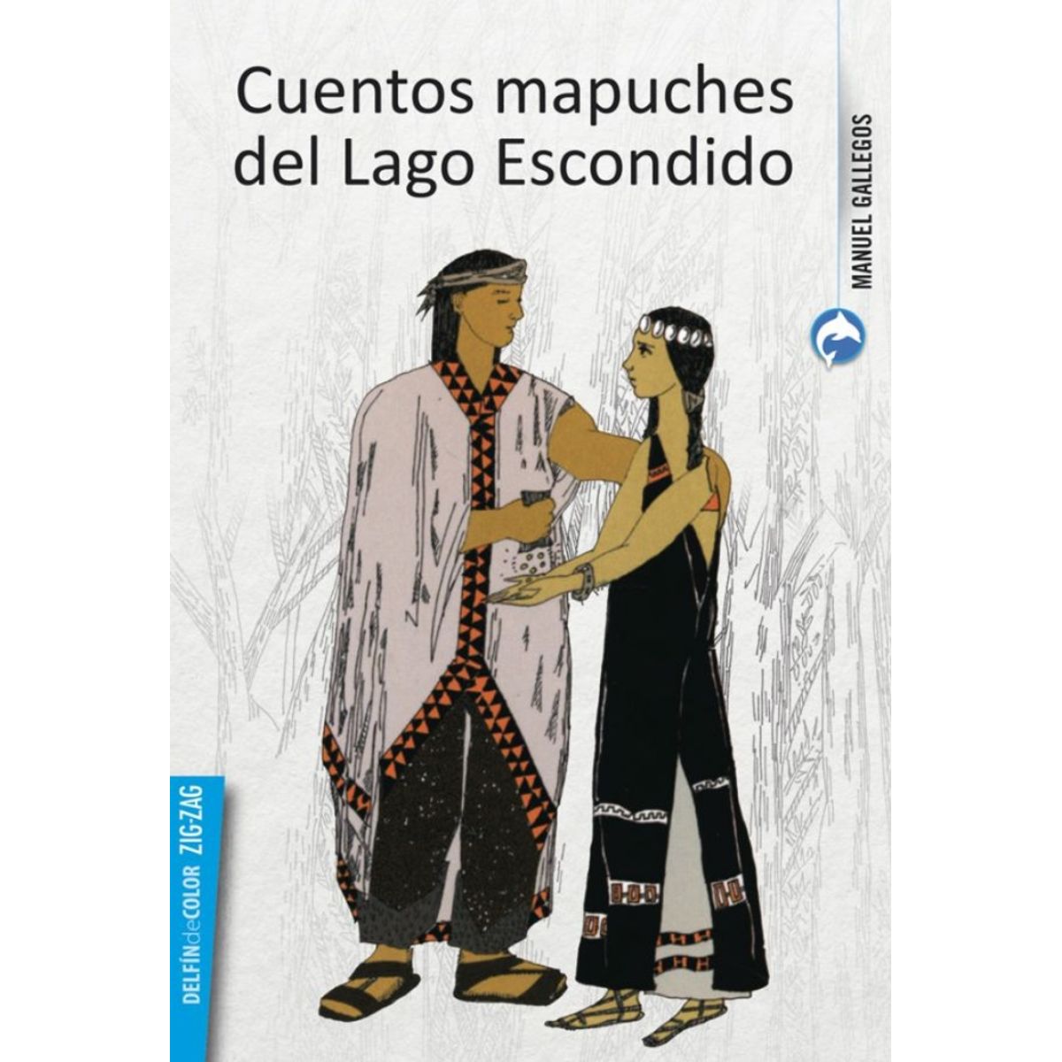 TOP10BOOKS - LIBRO Cuentos Mapuches Del Lago Escondido - MANUEL GALLEGOS