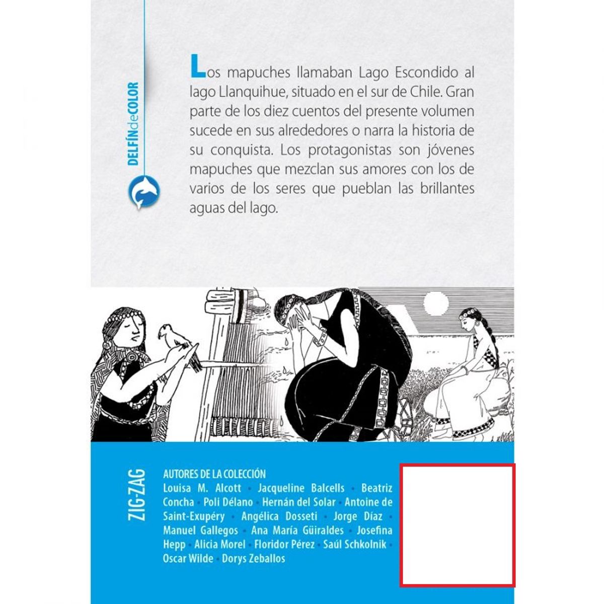 TOP10BOOKS - LIBRO Cuentos Mapuches Del Lago Escondido - MANUEL GALLEGOS