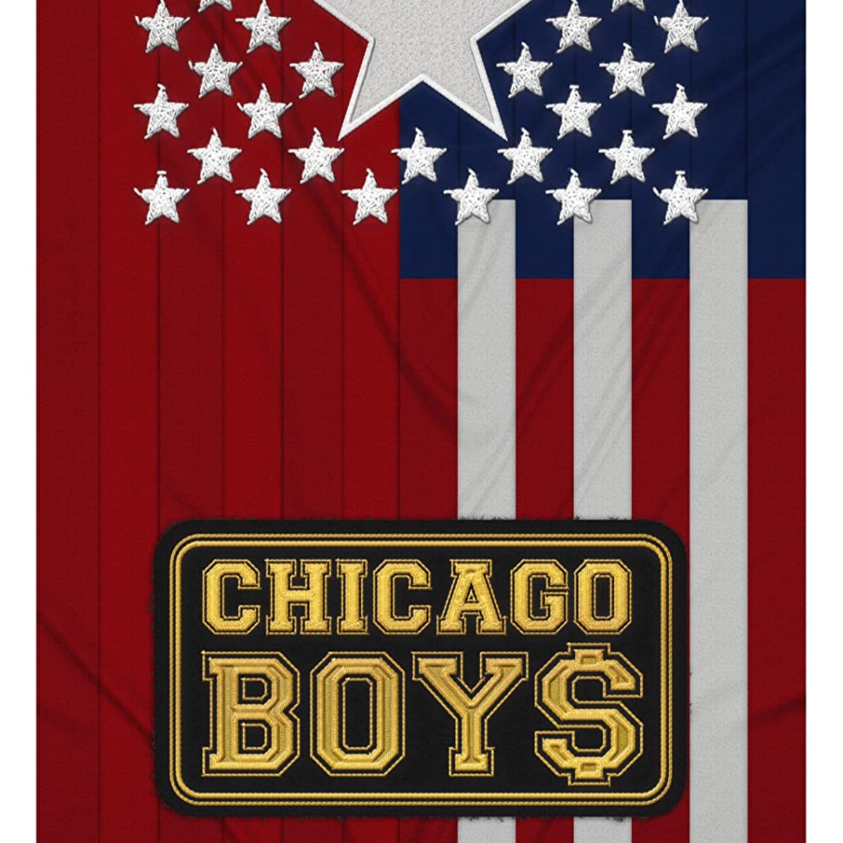 TOP10BOOKS - LIBRO Chicago Boys - Chicago Boys