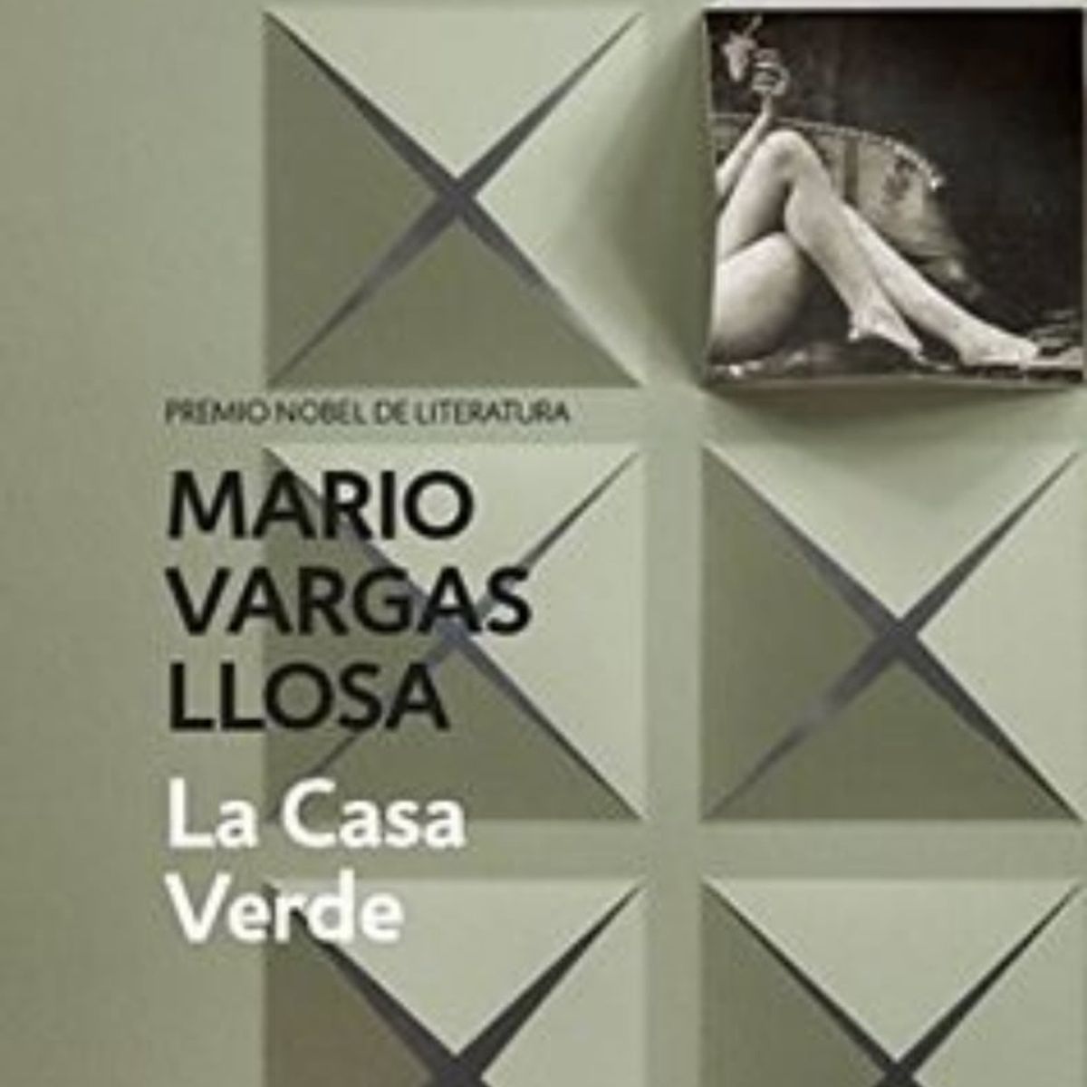 TOP10BOOKS - LIBRO La Casa Verde - La Casa Verde