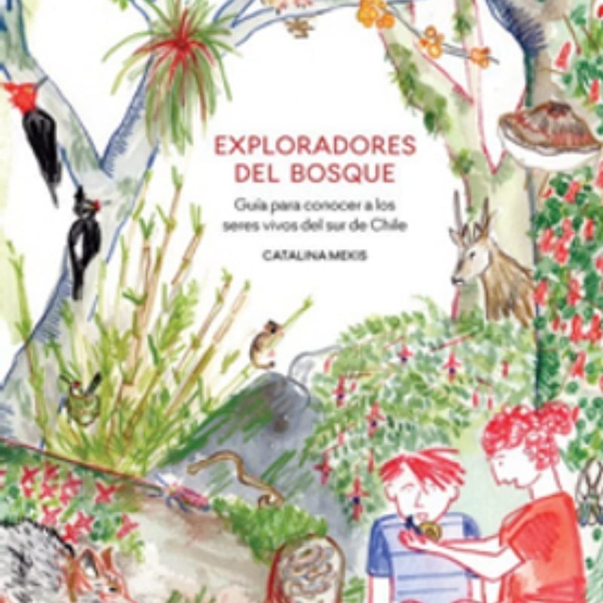 TOP10BOOKS - Libro Exploradores Del Bosque -960-