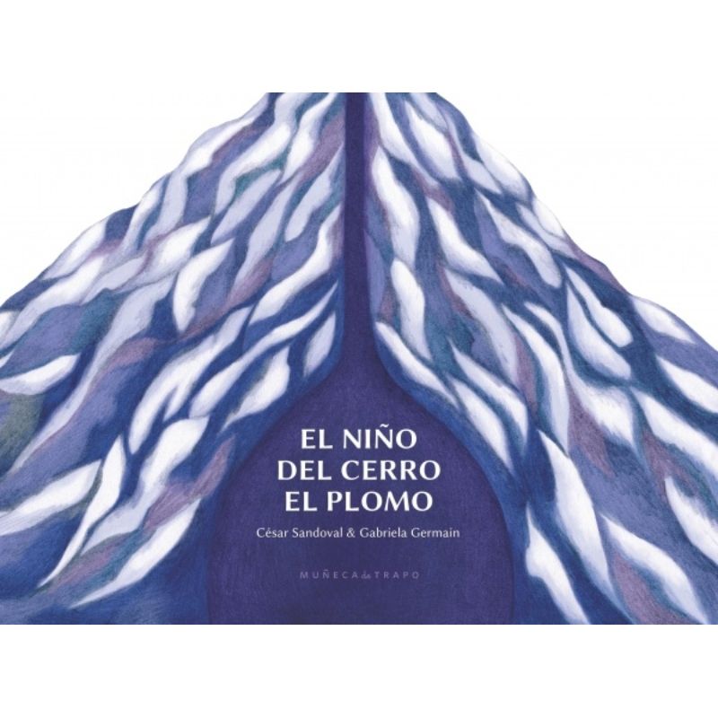 TOP10BOOKS - Libro El Nino Del Cerro El Plomo -291-