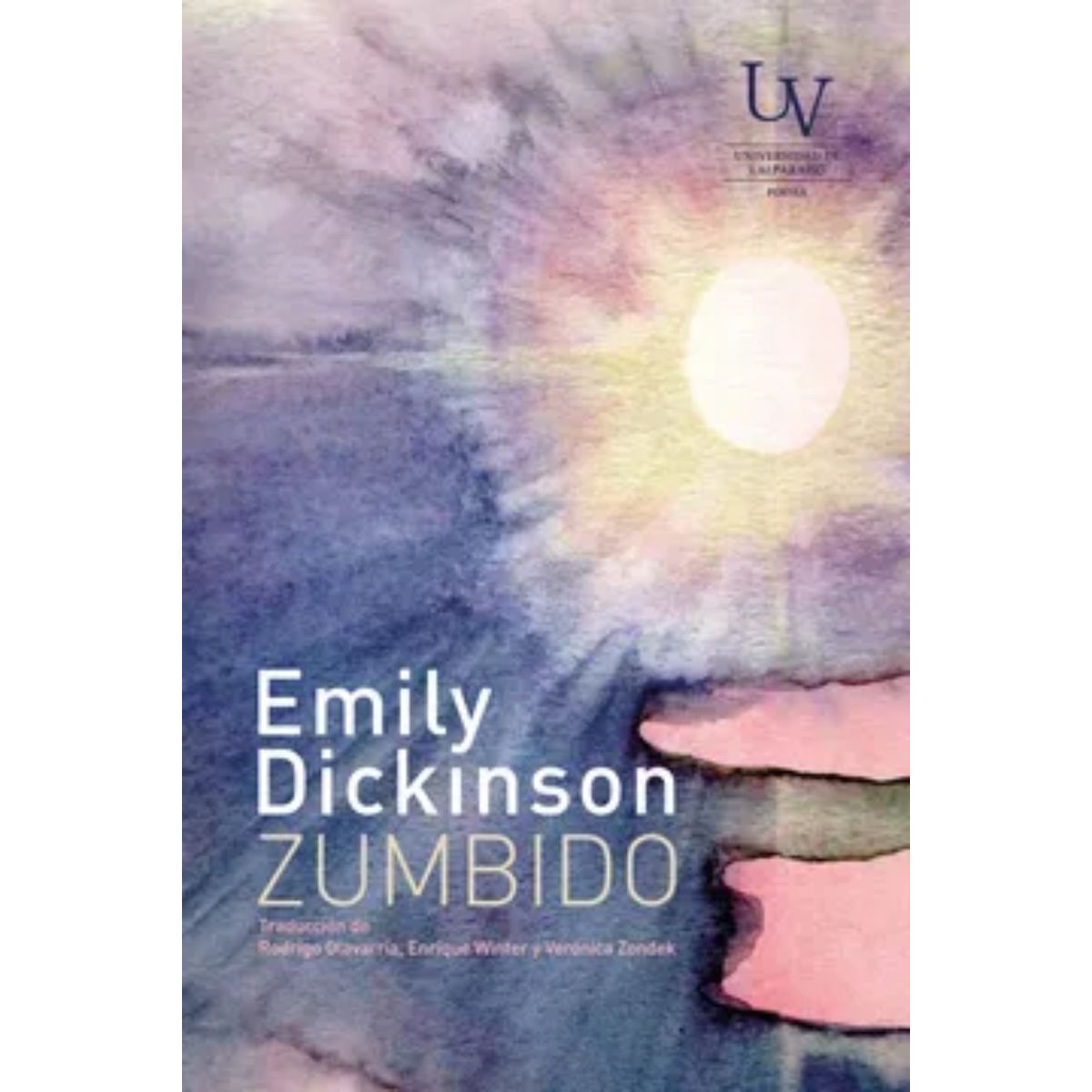 TOP10BOOKS - LIBRO Zumbido - Zumbido