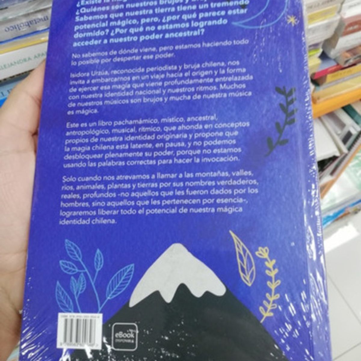 TOP10BOOKS - LIBRO La Invocacion Incorrecta - La Invocacion Incorrecta