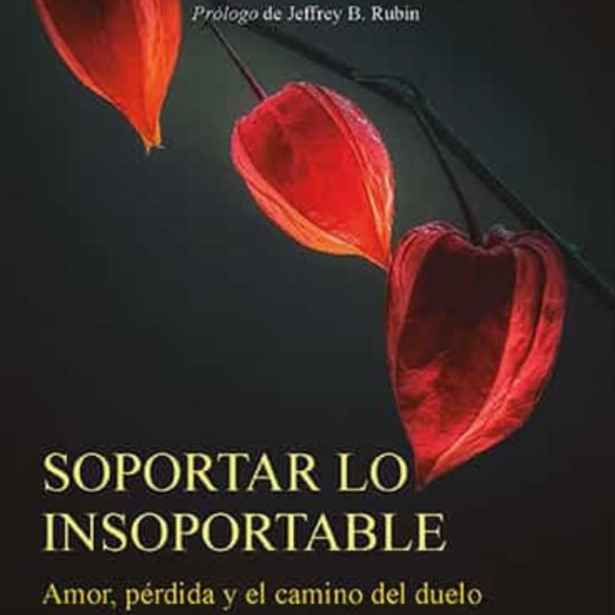 TOP10BOOKS - LIBRO Soportar Lo Insoportable - Soportar Lo Insoportable