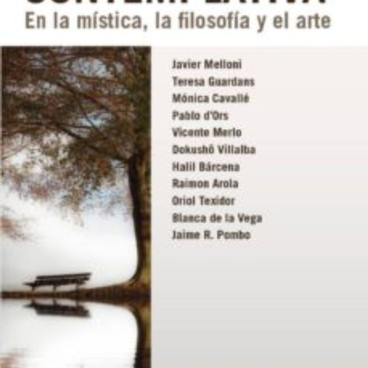 TOP10BOOKS - LIBRO La Experiencia Contemplativa - La Experiencia Contemplativa