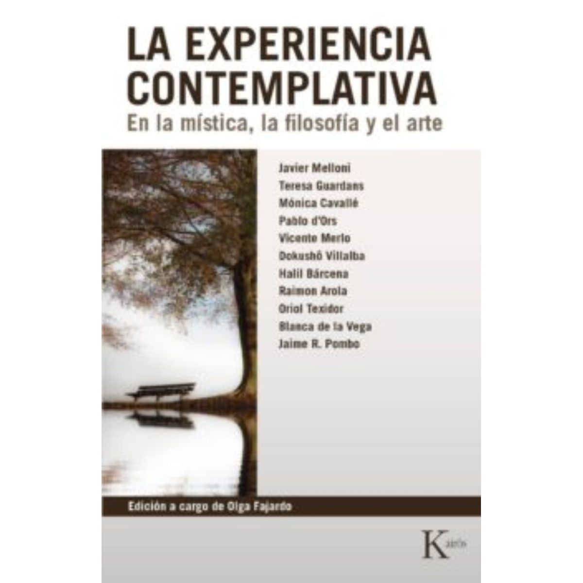 TOP10BOOKS - LIBRO La Experiencia Contemplativa - La Experiencia Contemplativa