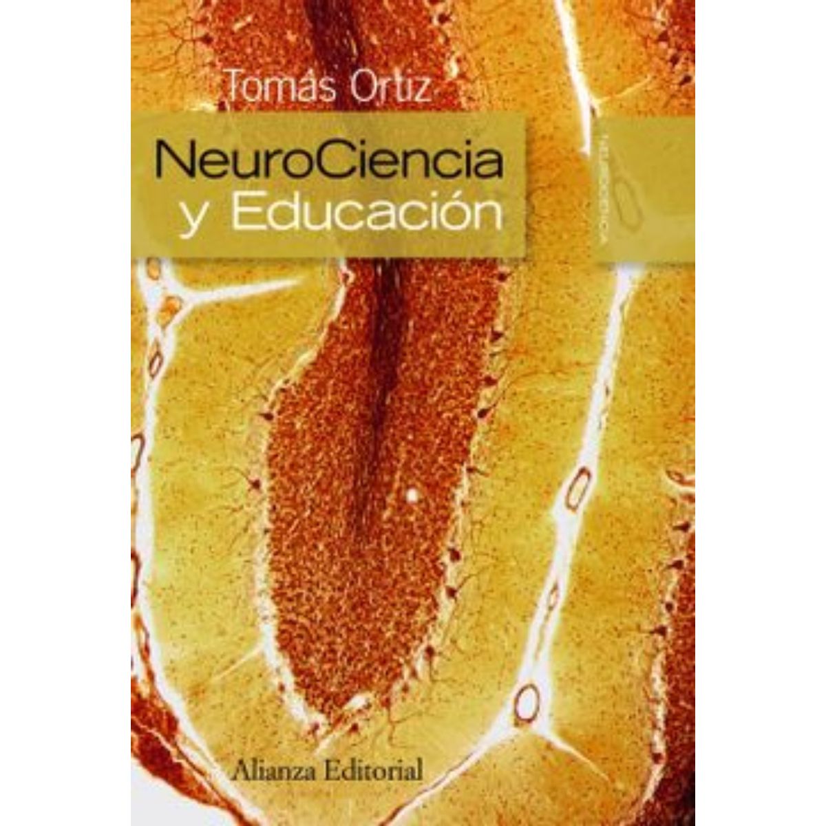 TOP10BOOKS - LIBRO Neurociencia Y Educación - T. Ortiz