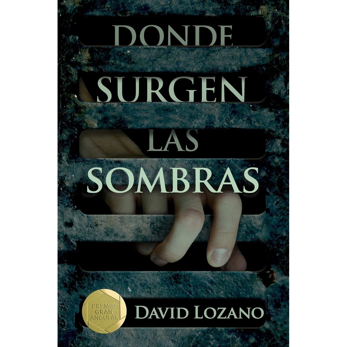 TOP10BOOKS - LIBRO Donde Surgen Las Sombras - David Lozano