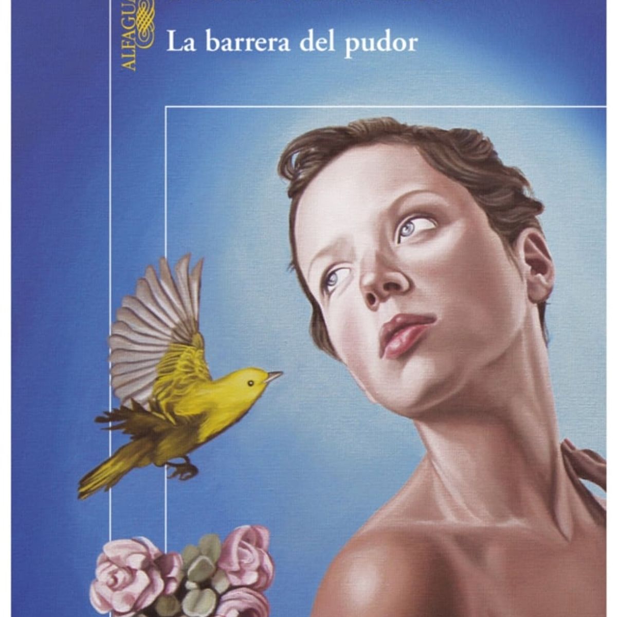 TOP10BOOKS - LIBRO La Barrera Del Pudor - La Barrera Del Pudor