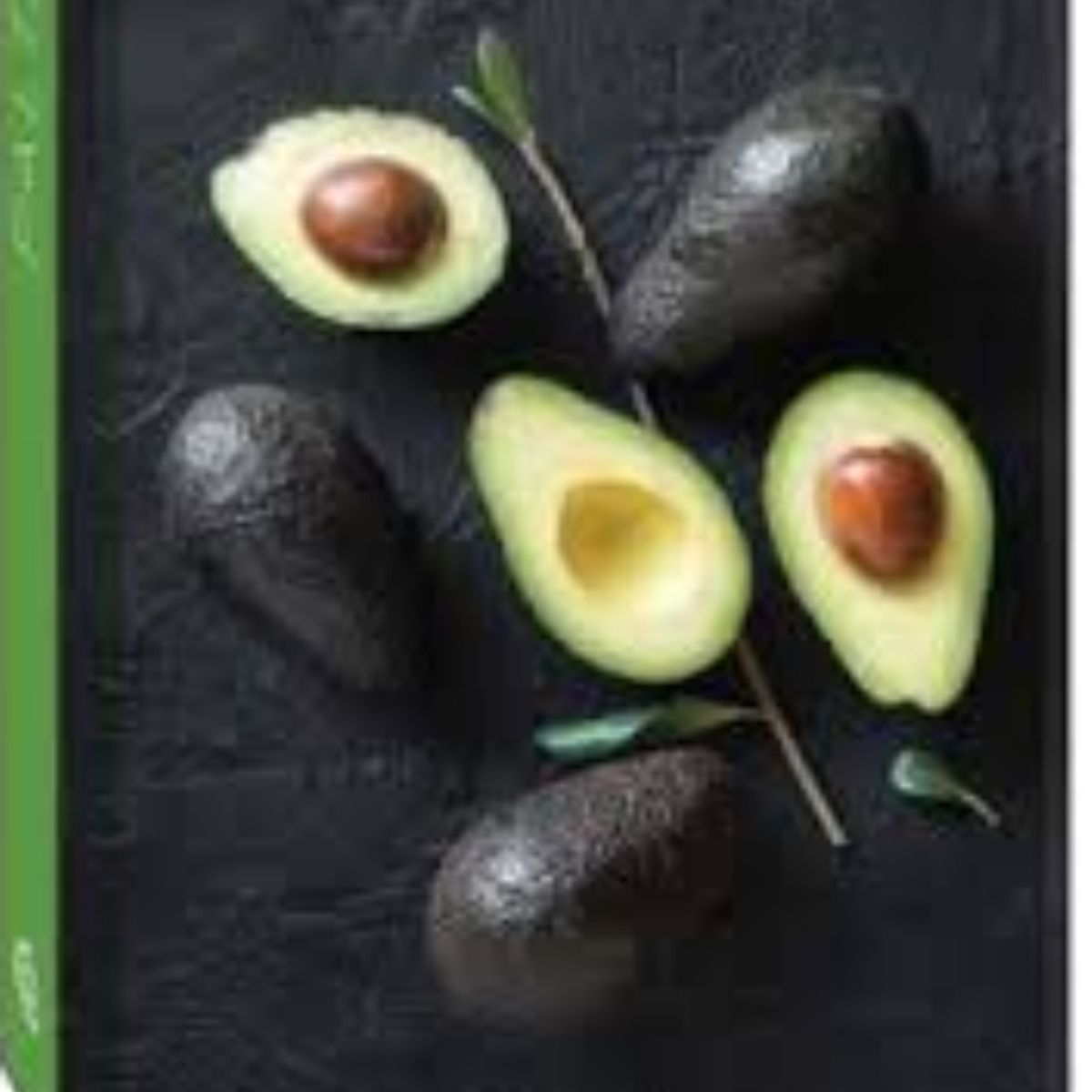 TOP10BOOKS - LIBRO Senttia - Palta - Senttia - Palta