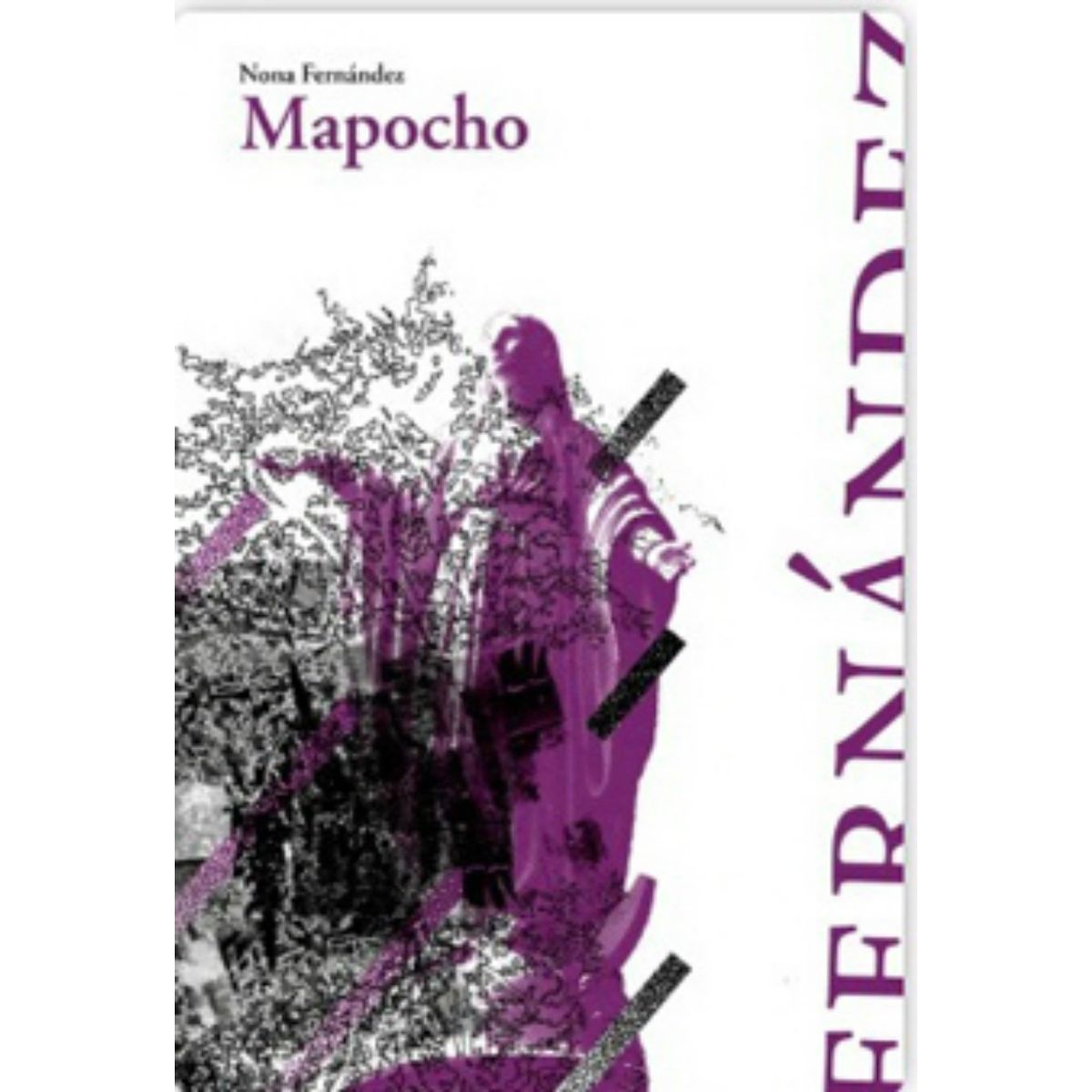 TOP10BOOKS - LIBRO Mapocho - MAPOCHO