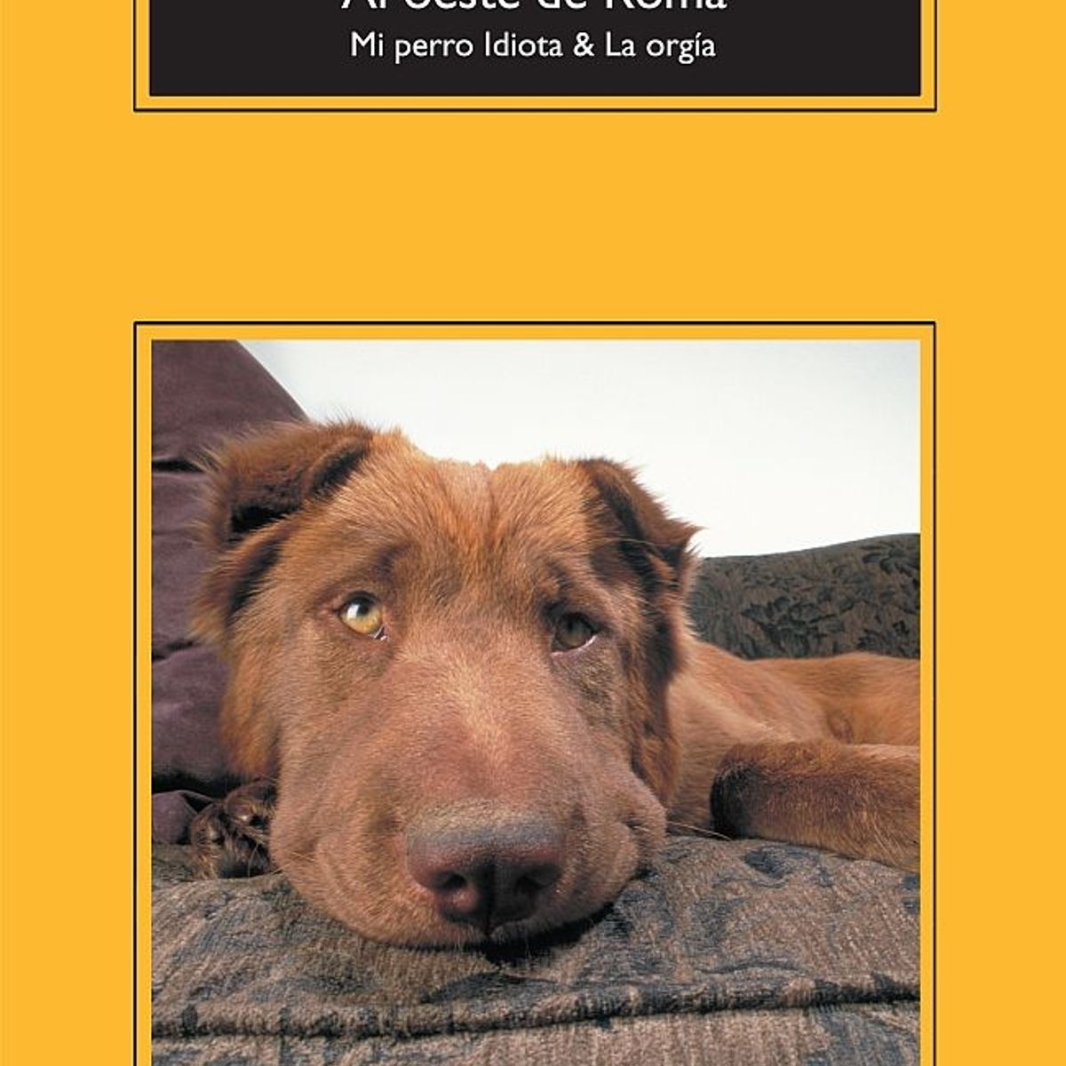 TOP10BOOKS - LIBRO Al Oeste De Roma - Al Oeste De Roma