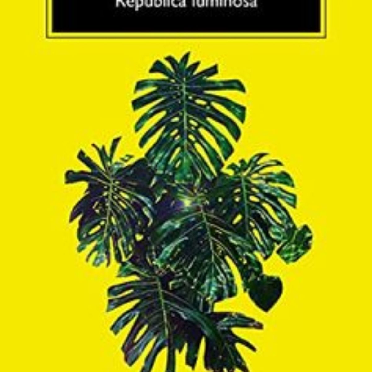 TOP10BOOKS - LIBRO república Luminosa - Andres Barba