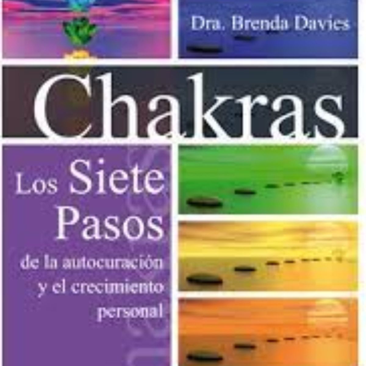 TOP10BOOKS - LIBRO Chakras Los Siete Pasos De La Autocuracion Y El Crecimiento Personal