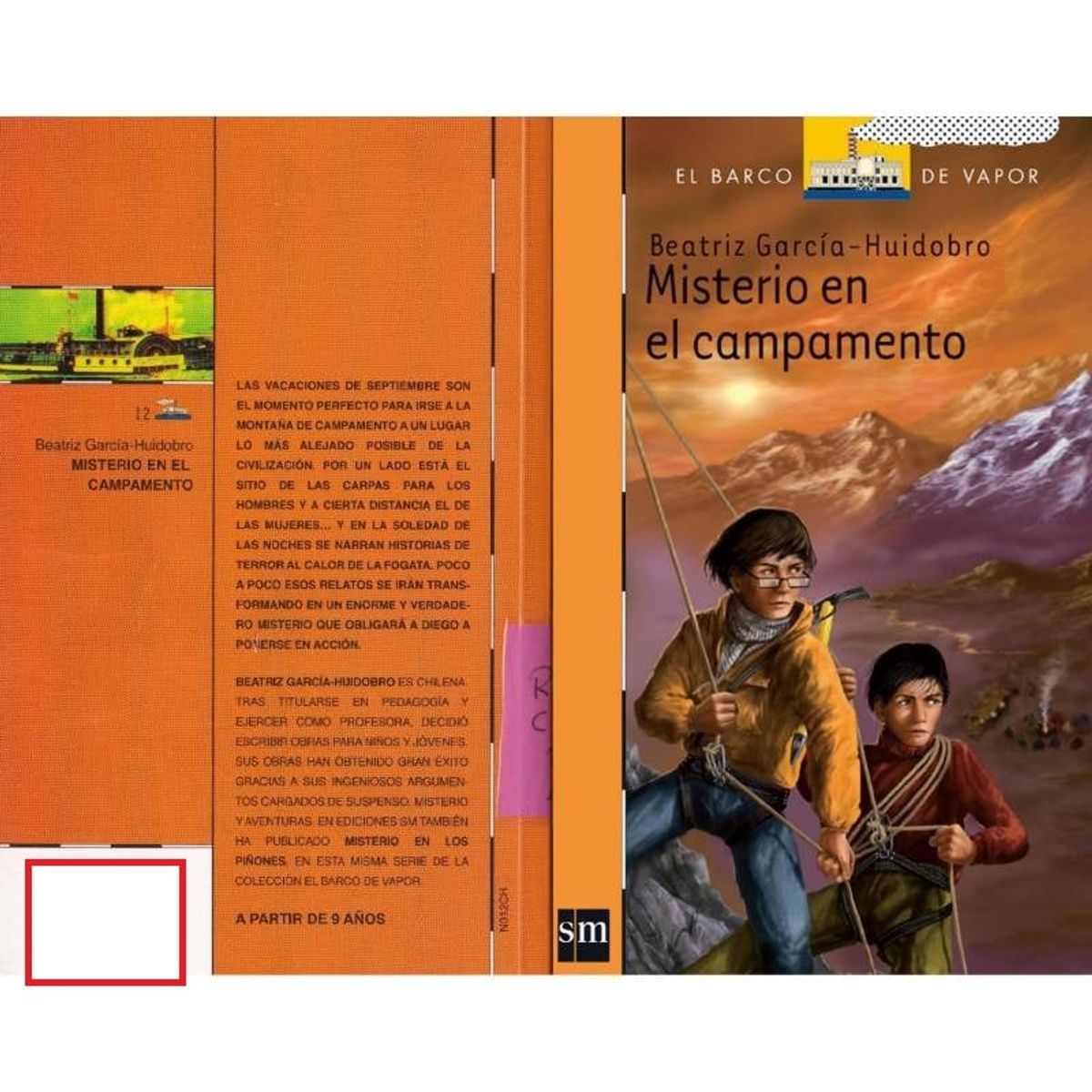 TOP10BOOKS - LIBRO Misterio En El Campamento - Misterio En El Campamento