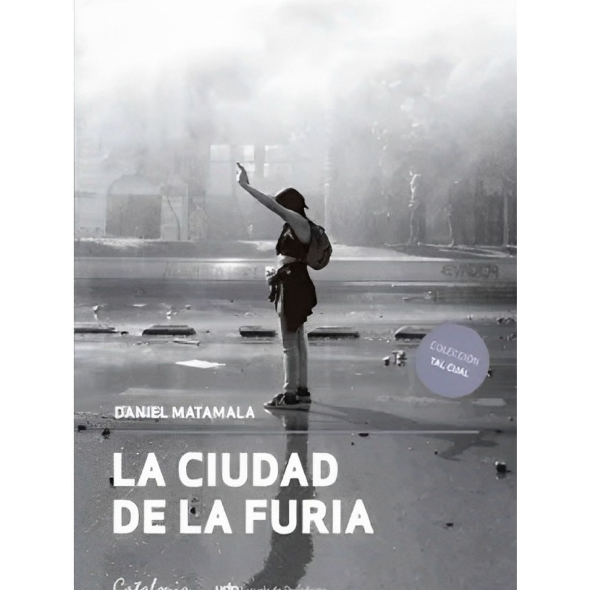 TOP10BOOKS - LIBRO La Ciudad De La Furia - La Ciudad De La Furia