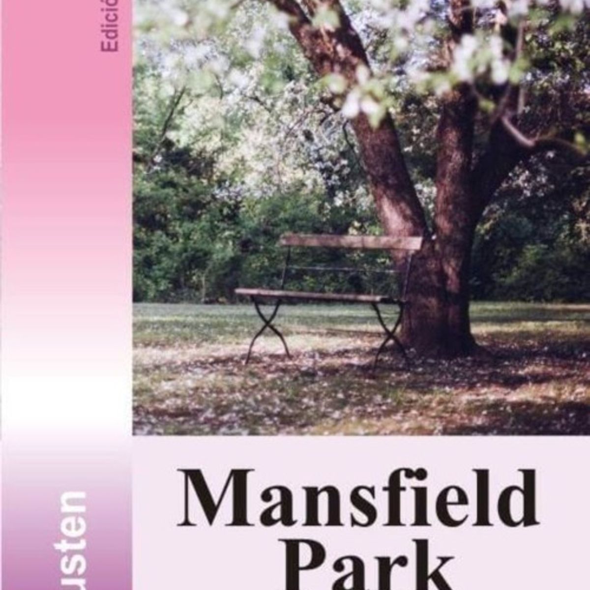TOP10BOOKS - LIBRO Mansfield Park - Mansfield Park