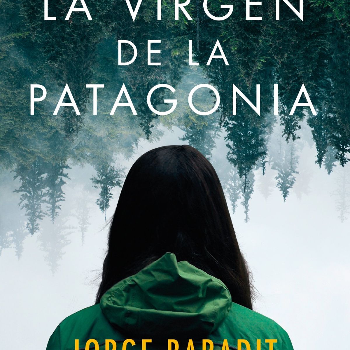 TOP10BOOKS - LIBRO La Virgen De La Patagonia - La Virgen De La Patagonia