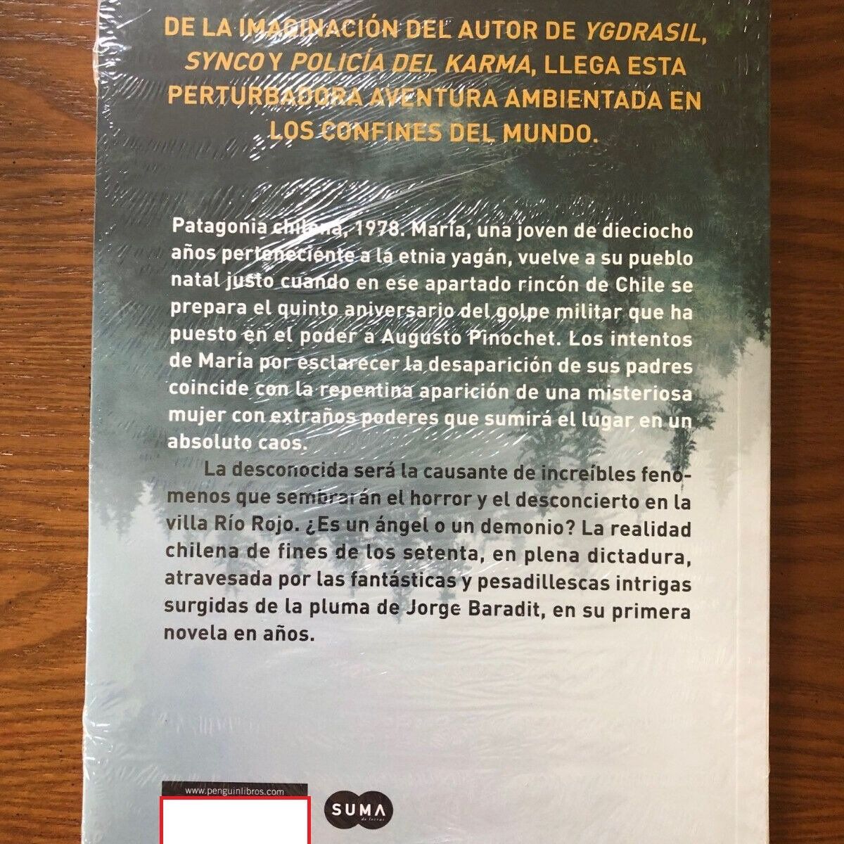 TOP10BOOKS - LIBRO La Virgen De La Patagonia - La Virgen De La Patagonia