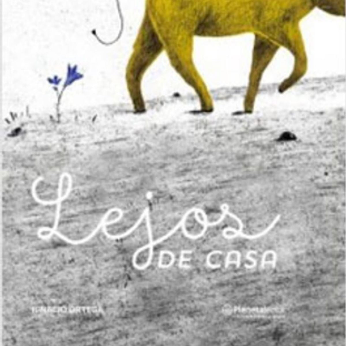 TOP10BOOKS - LIBRO Lejos De Casa - Lejos De Casa