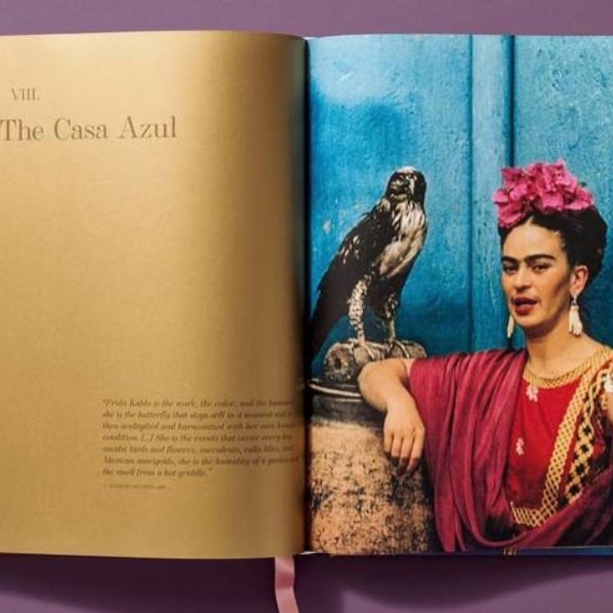 TOP10BOOKS - LIBRO Frida Kahlo En Su Casa - Frida Kahlo En Su Casa