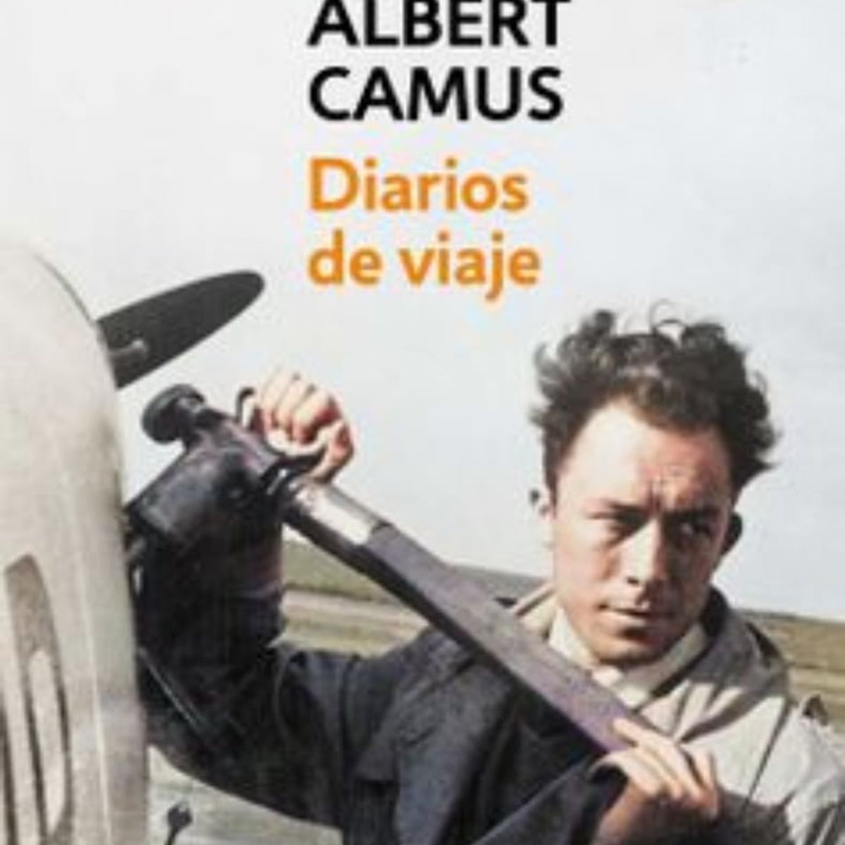 TOP10BOOKS - LIBRO Diarios De Viaje - Diarios De Viaje
