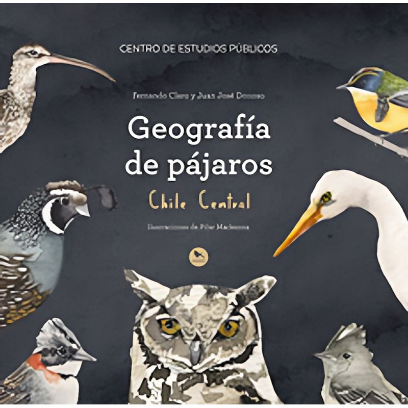 TOP10BOOKS - Libro GEOGRAFIA DE PAJAROS CHILE CENTRAL