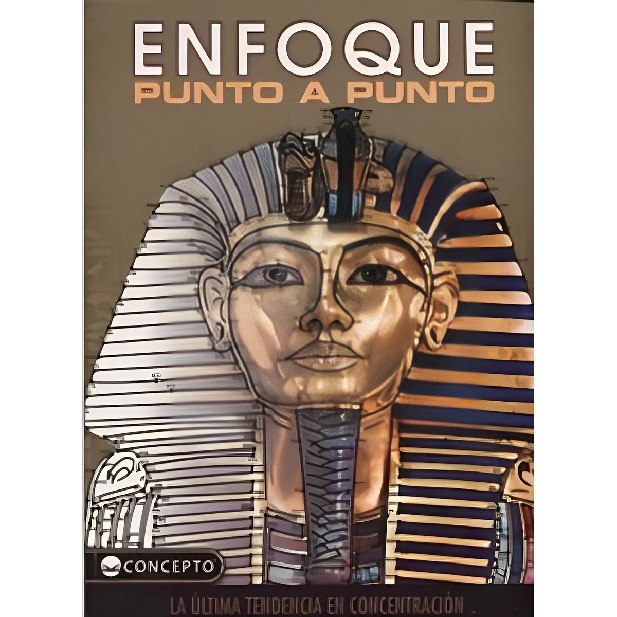 TOP10BOOKS - LIBRO Enfoque: Punto A Punto - Enfoque: Punto A Punto