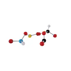 SEIGARD - Set molecular de 66 piezas PC-11 Color Variado