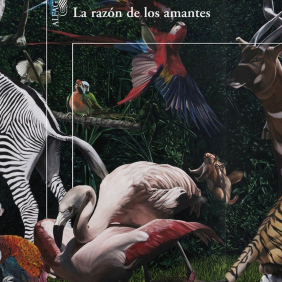 TOP10BOOKS - LIBRO La Razon De Los Amantes - La Razon De Los Amantes