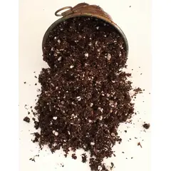 GENERICO - Sustrato Para Plantas Carnívoras 3lt
