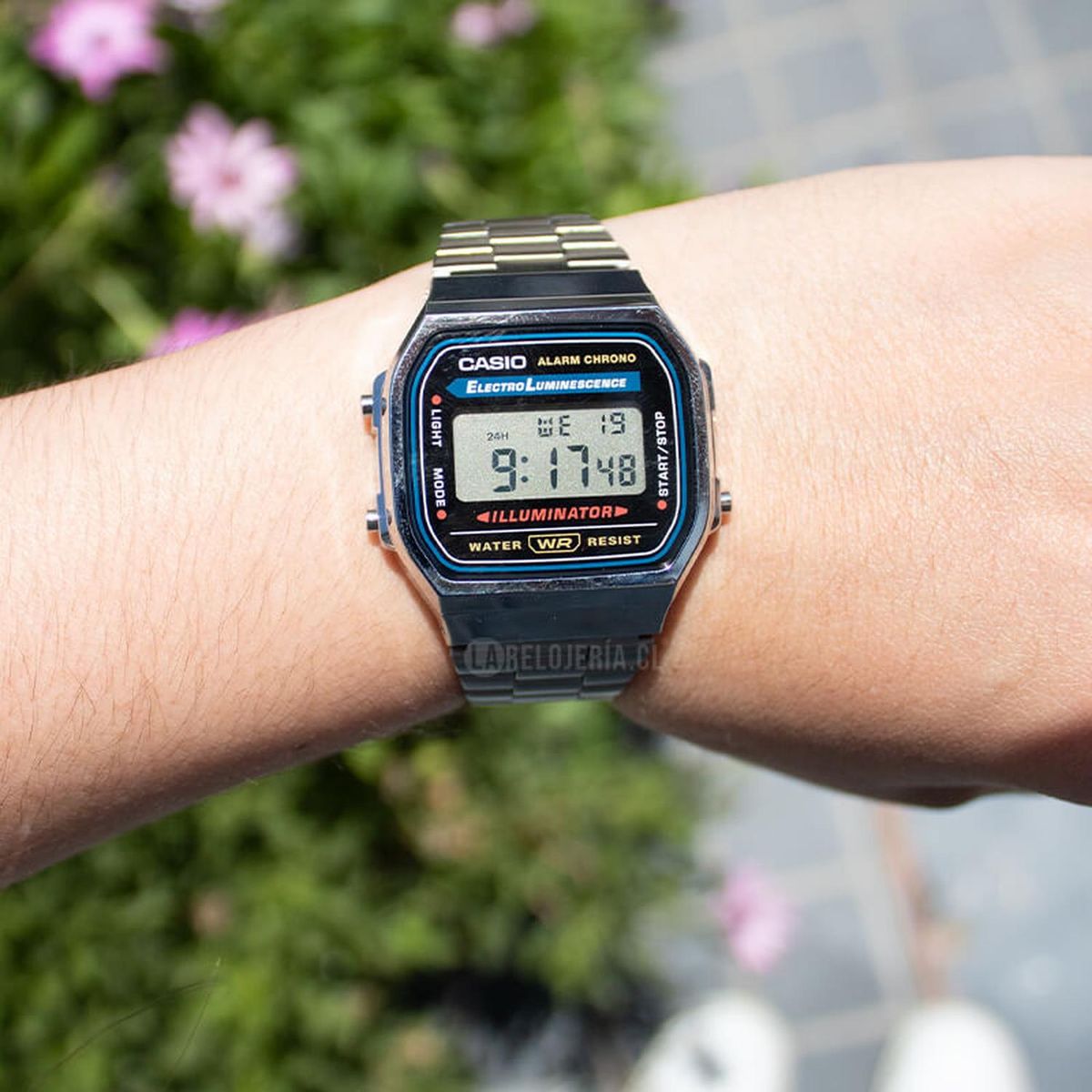 CASIO - Reloj Casio Digital Unisex A-168WA-1