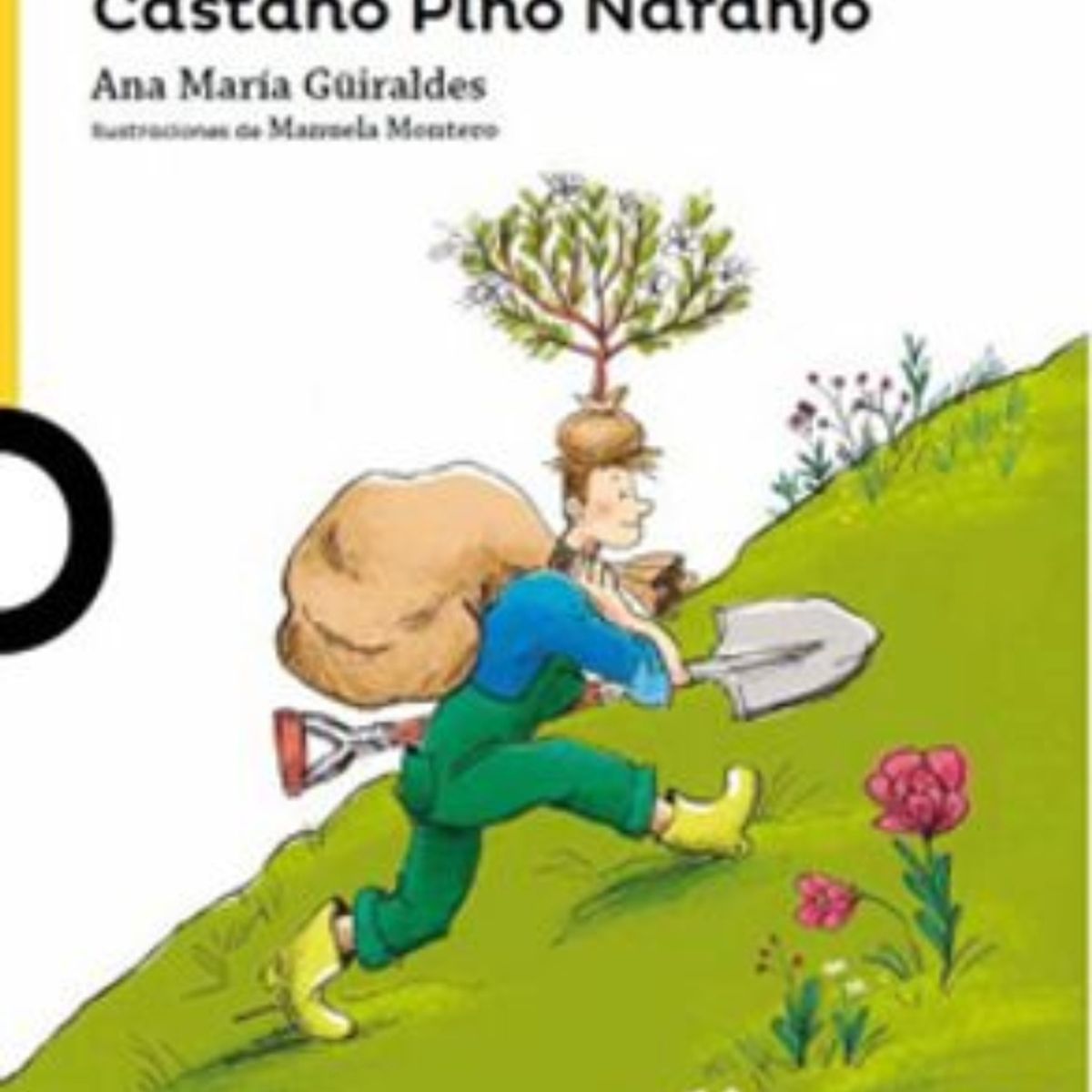 TOP10BOOKS - LIBRO Castano Pino Naranjo - Castano Pino Naranjo