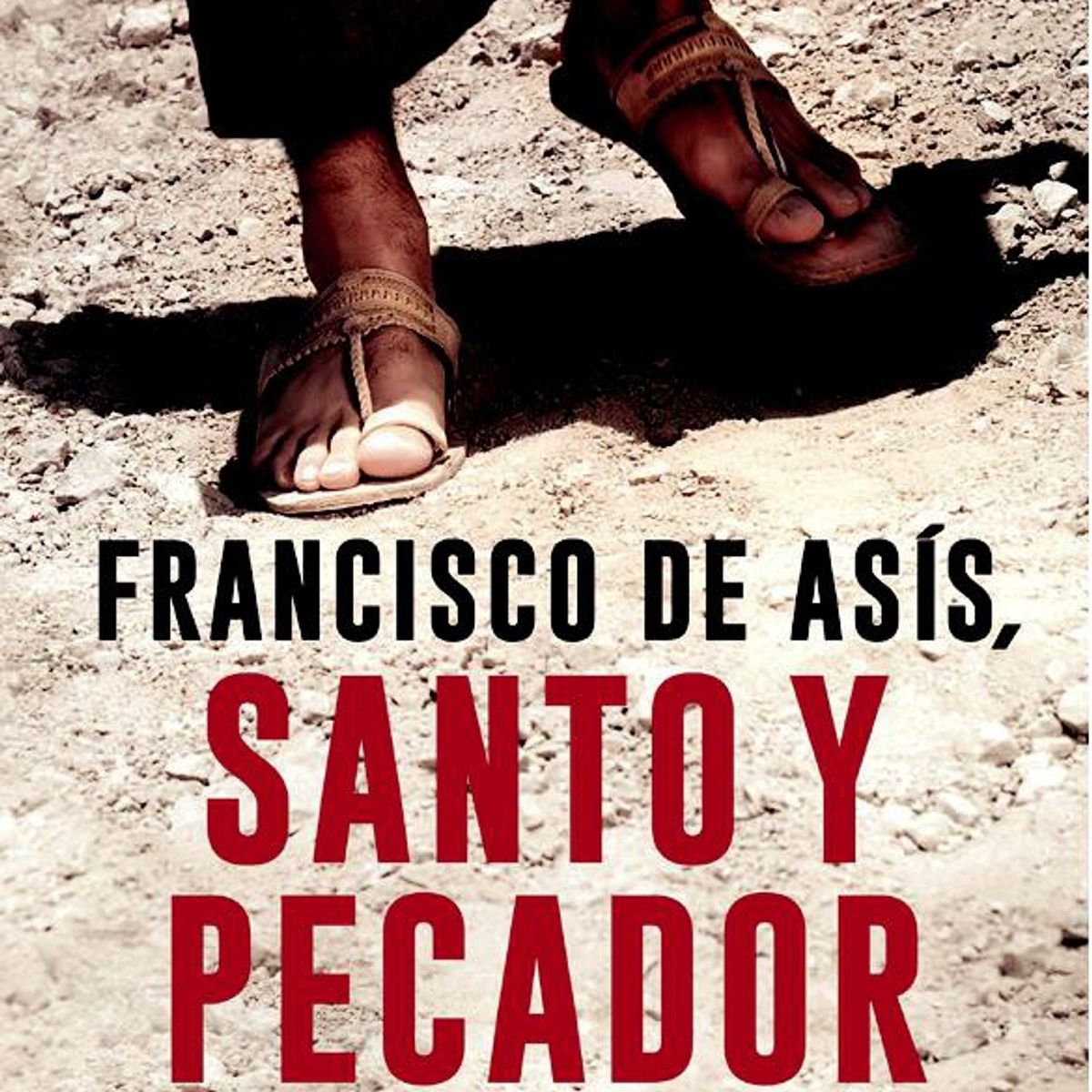 TOP10BOOKS - Libro FRANCISCO DE ASIS. SANTO Y PECADOR