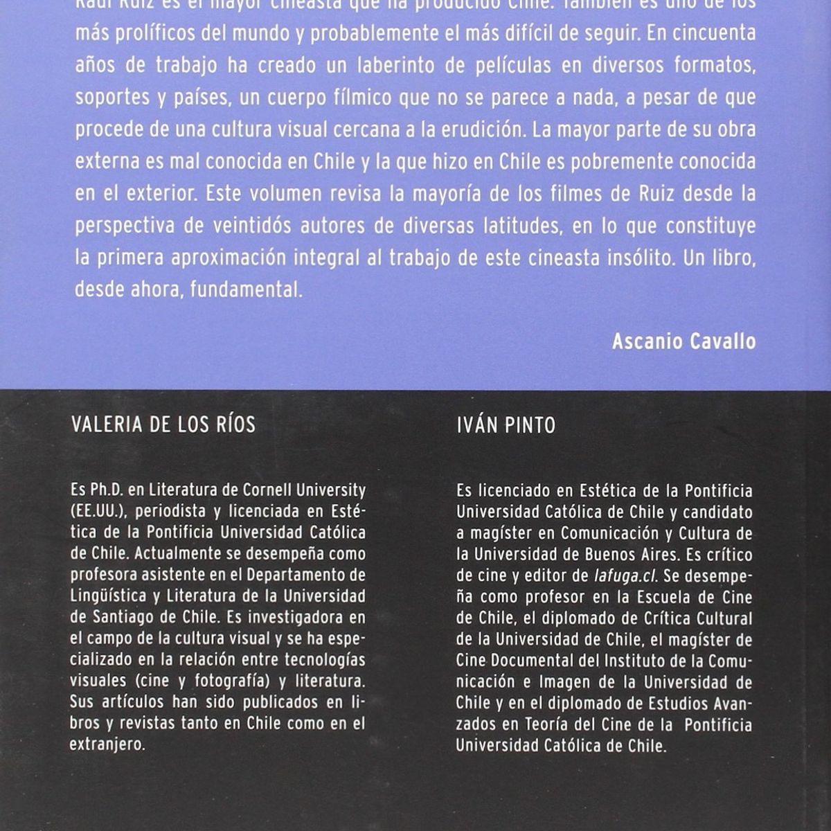TOP10BOOKS - LIBRO El Cine De Raul Ruiz - El Cine De Raul Ruiz