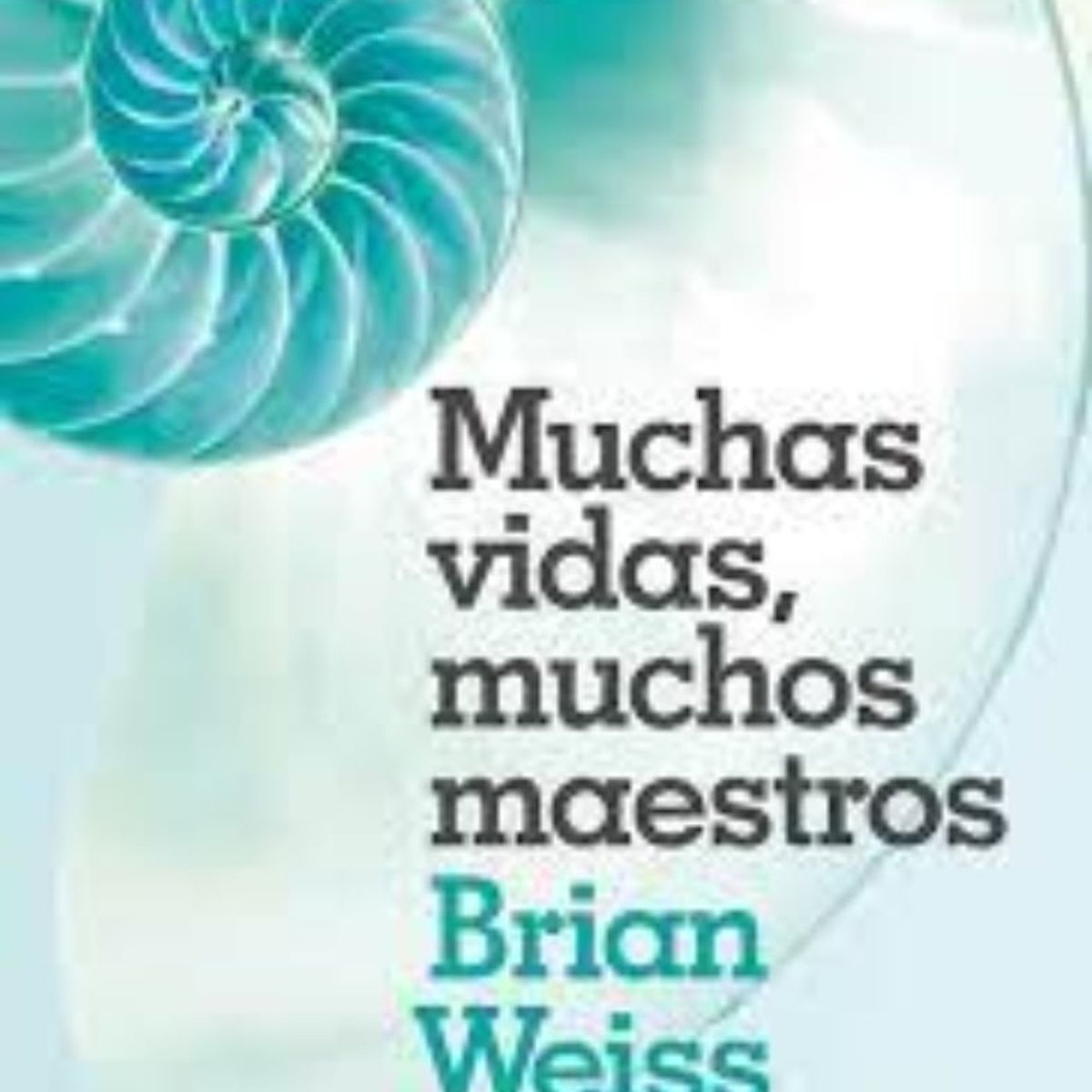 TOP10BOOKS - LIBRO Muchas Vidas Muchos Maestros - Muchas Vidas Muchos Maestros
