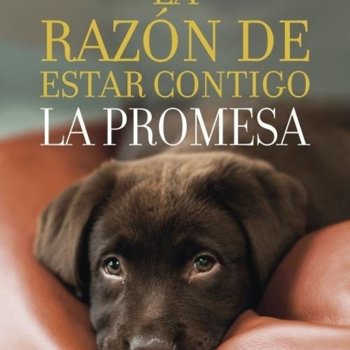 TOP10BOOKS - LIBRO La Razón De Estar Contigo - La Promesa
