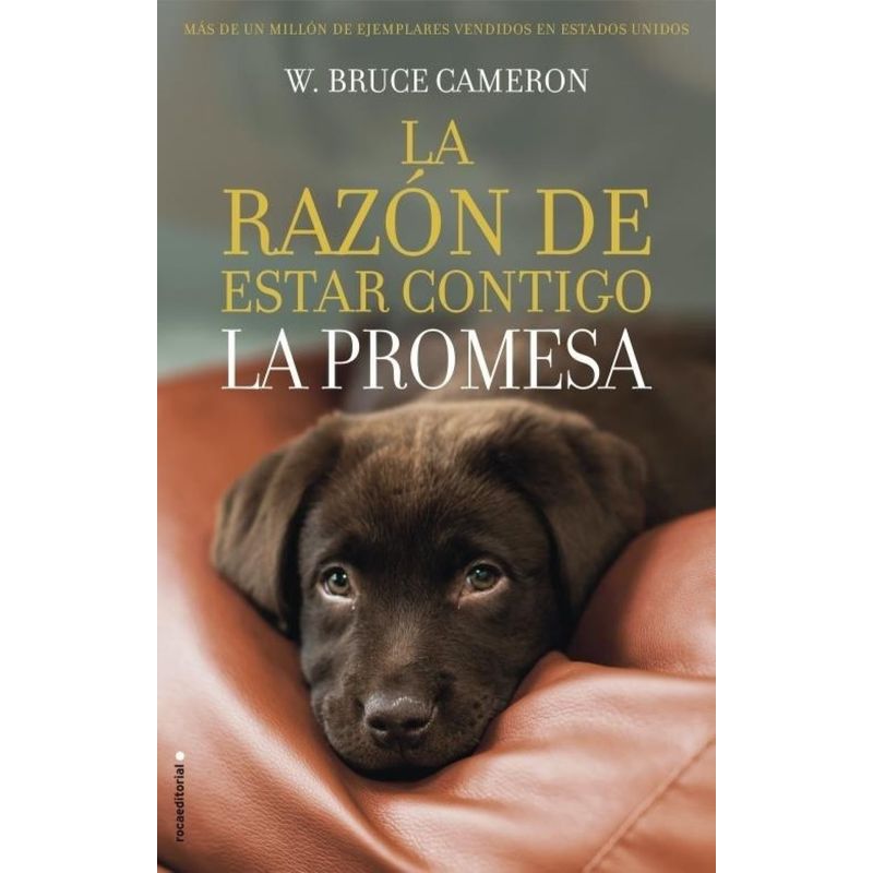 TOP10BOOKS - Libro LA RAZON DE ESTAR CONTIGO- LA PROMESA