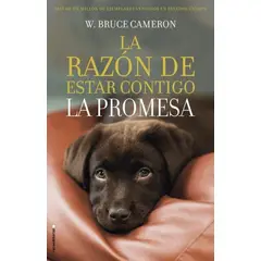 TOP10BOOKS - Libro LA RAZON DE ESTAR CONTIGO- LA PROMESA