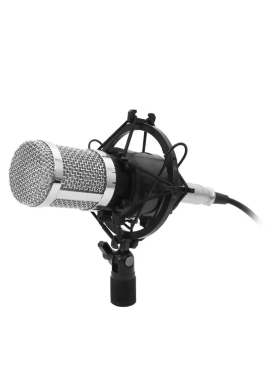Microfono Condensador Profesional Hifi 31451 C/Soporte