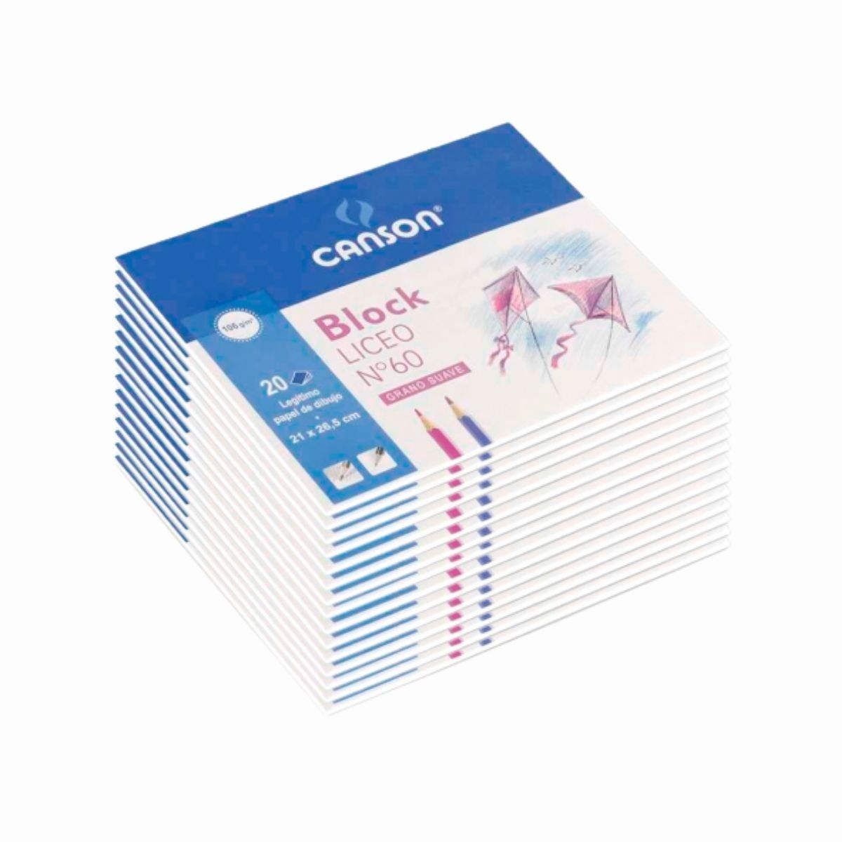 CANSON - Pack 15 Blocks de Dibujo Liceo 21x26 cm 106 gr 20hjs