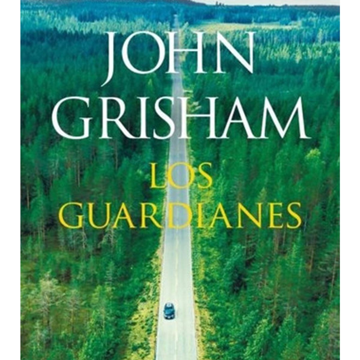 TOP10BOOKS - LIBRO Los Guardianes - Los Guardianes