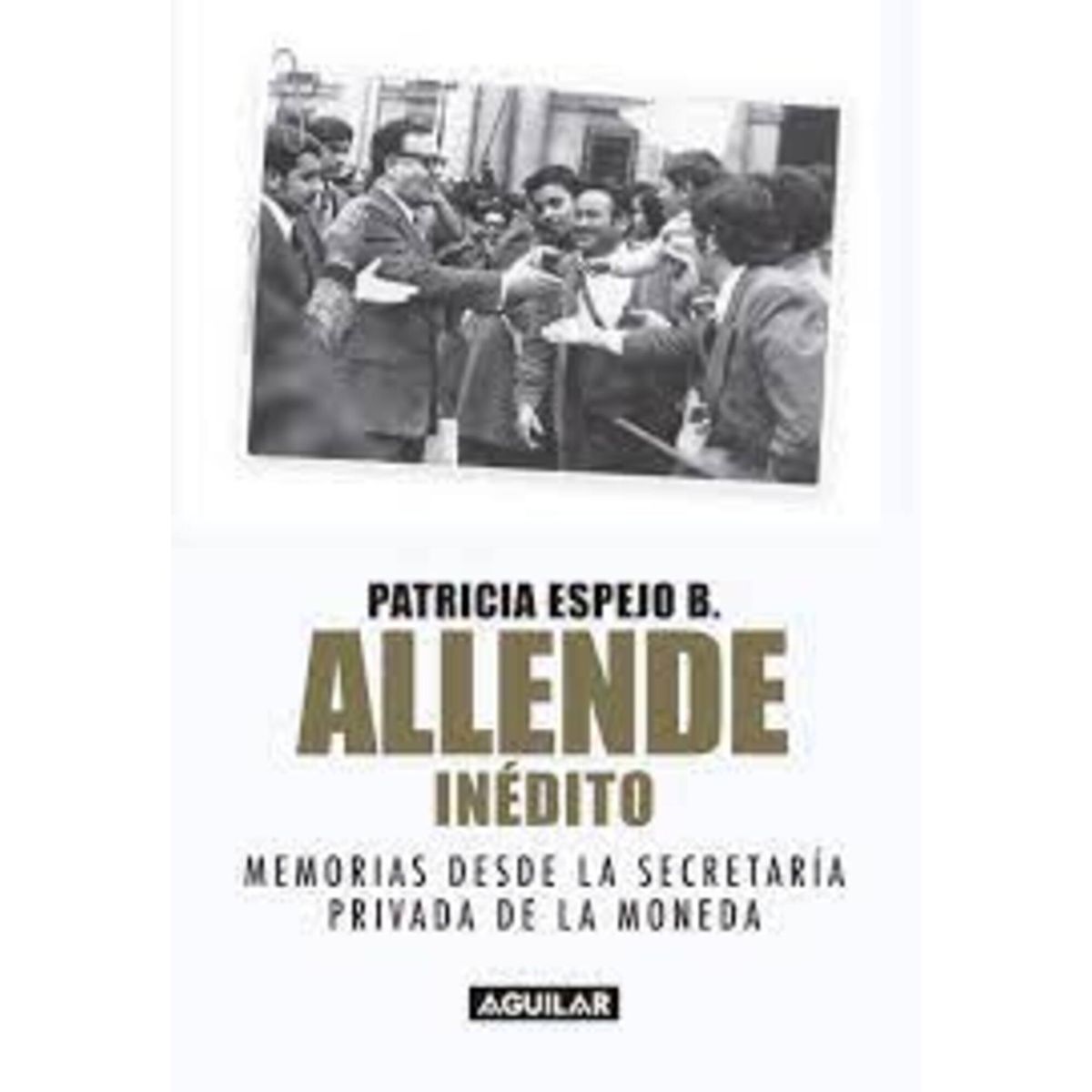TOP10BOOKS - LIBRO Allende Inédito - Allende Inédito